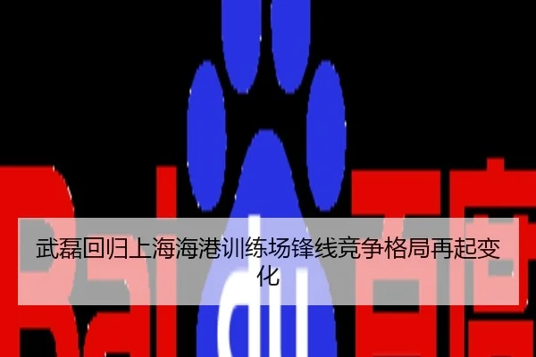 武磊回归上海海港训练场锋线竞争格局再起变化